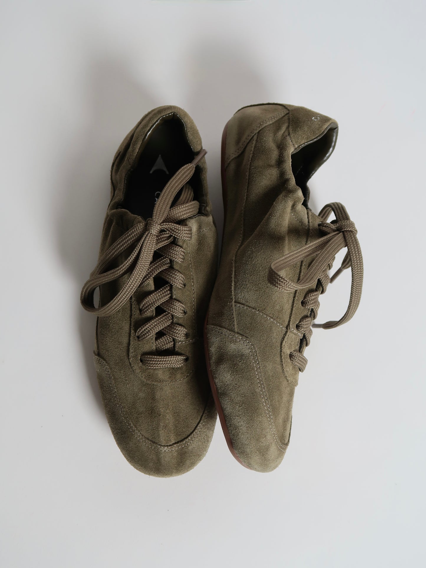 Capsule - Viento Olive