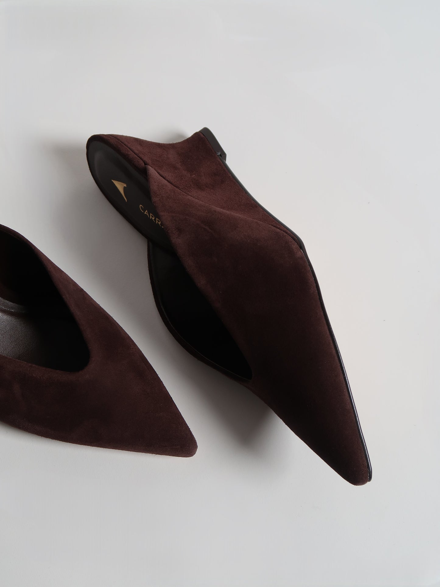 Capsule - Muse Dark Browm