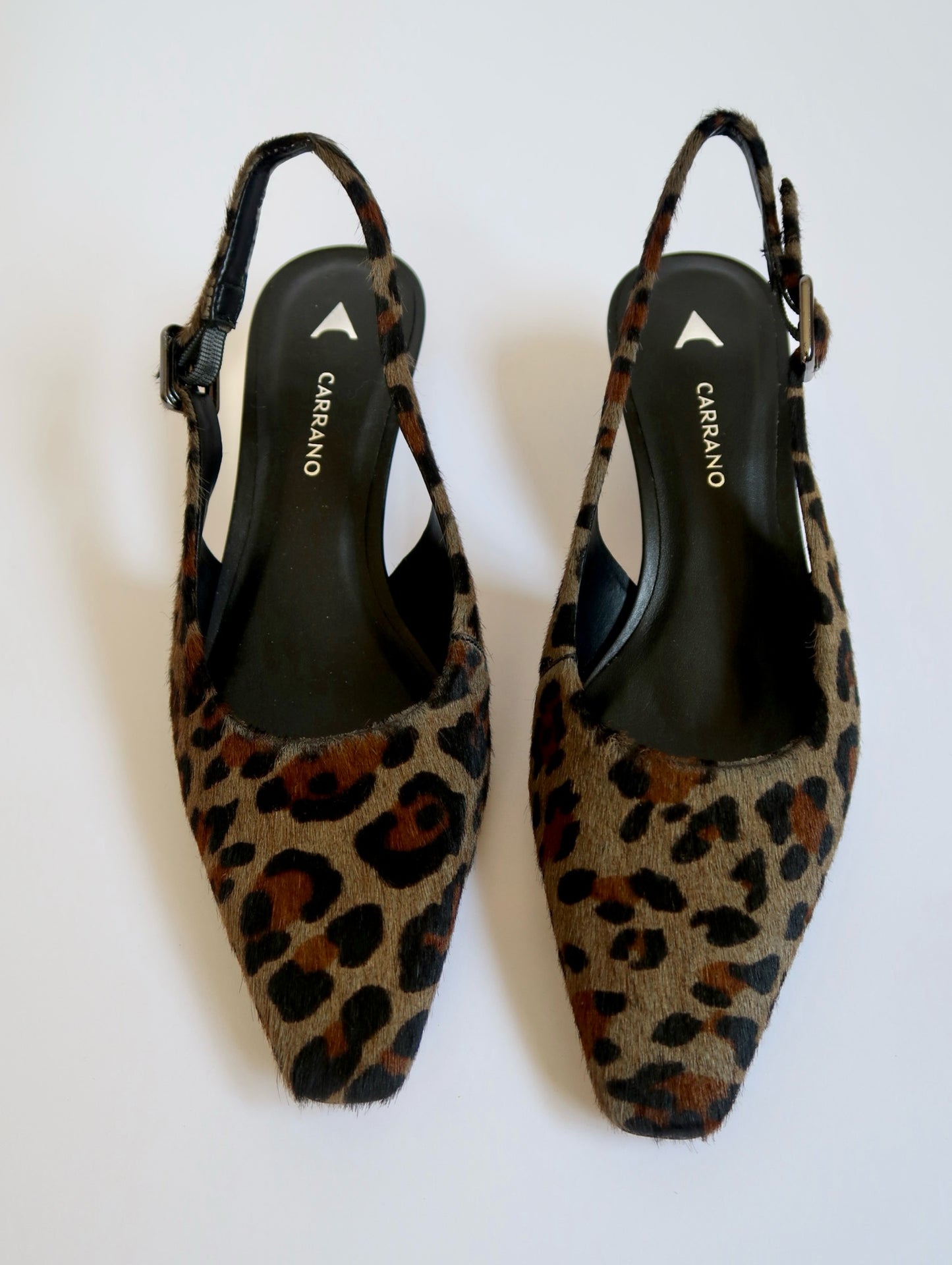 Capsule - Tina Green LP - SHOEZ