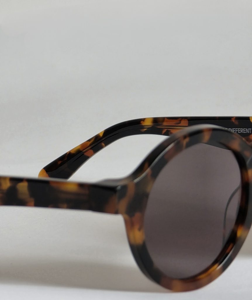 Dalston Cheetah tortoise