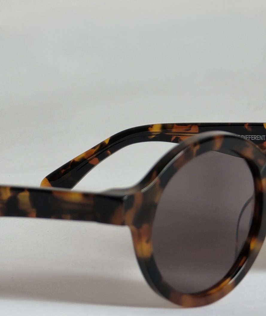 Dalston Cheetah tortoise