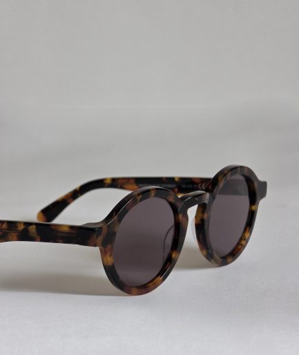 Dalston Cheetah tortoise