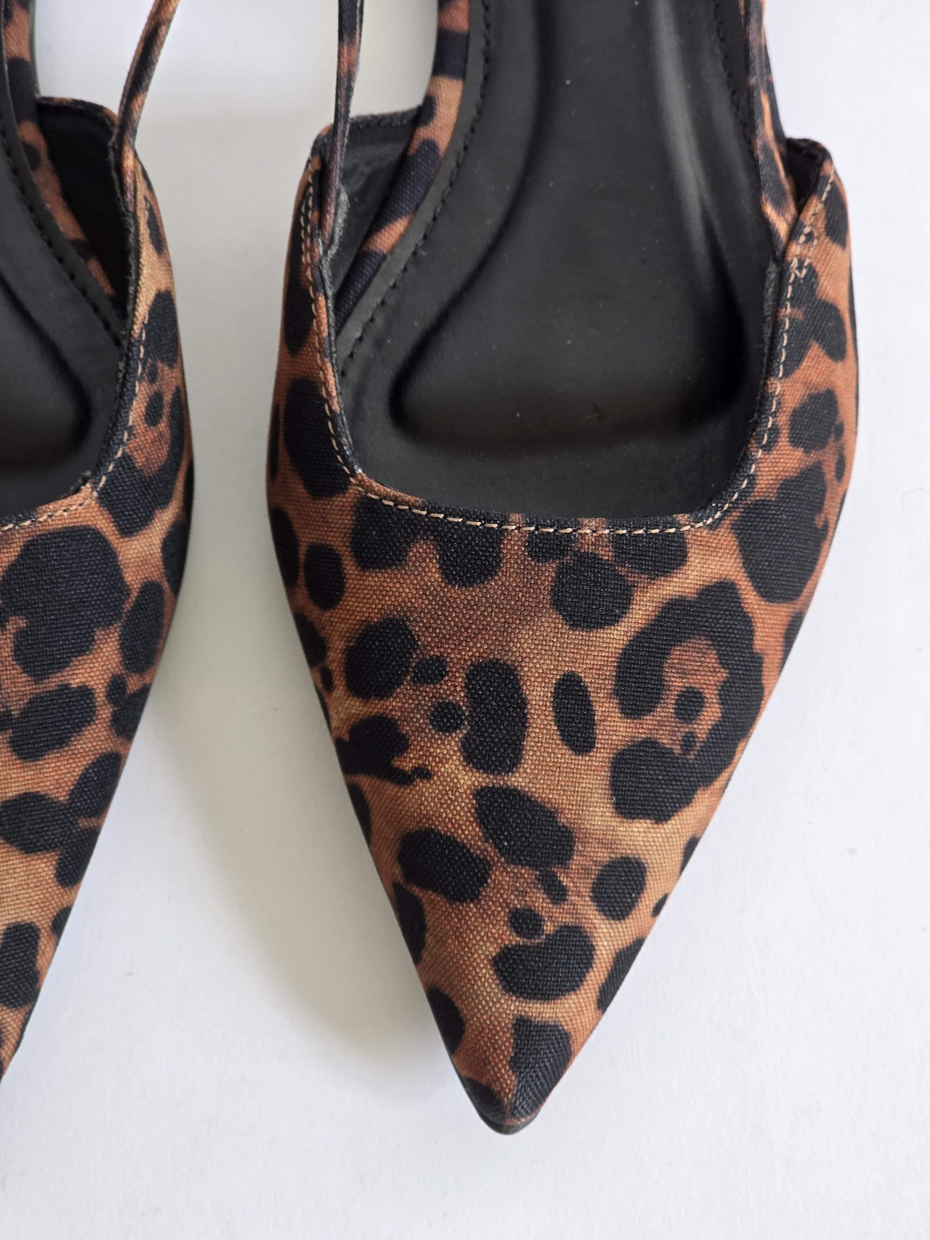 Lucho Leopard