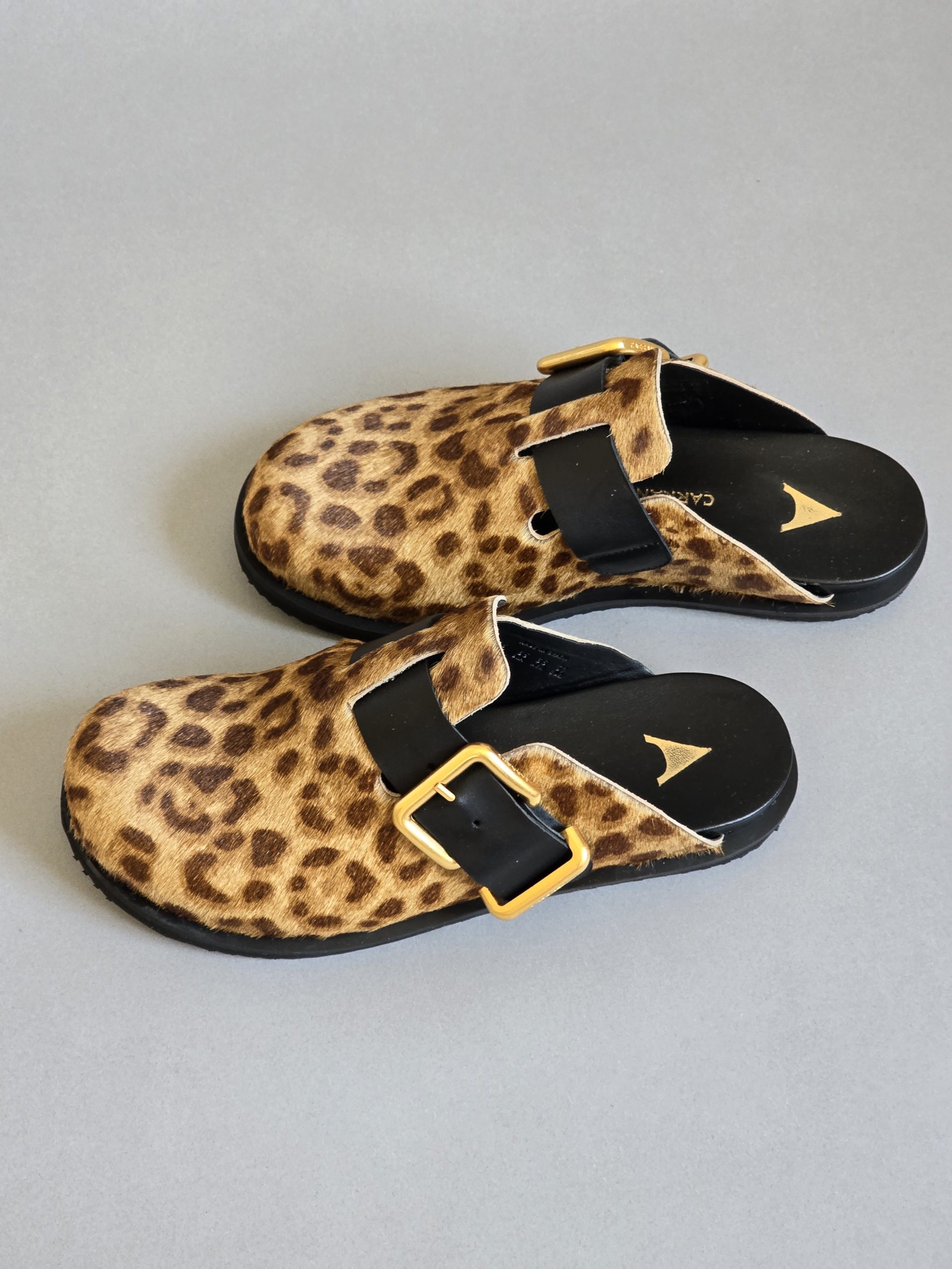 Shivani Leopard