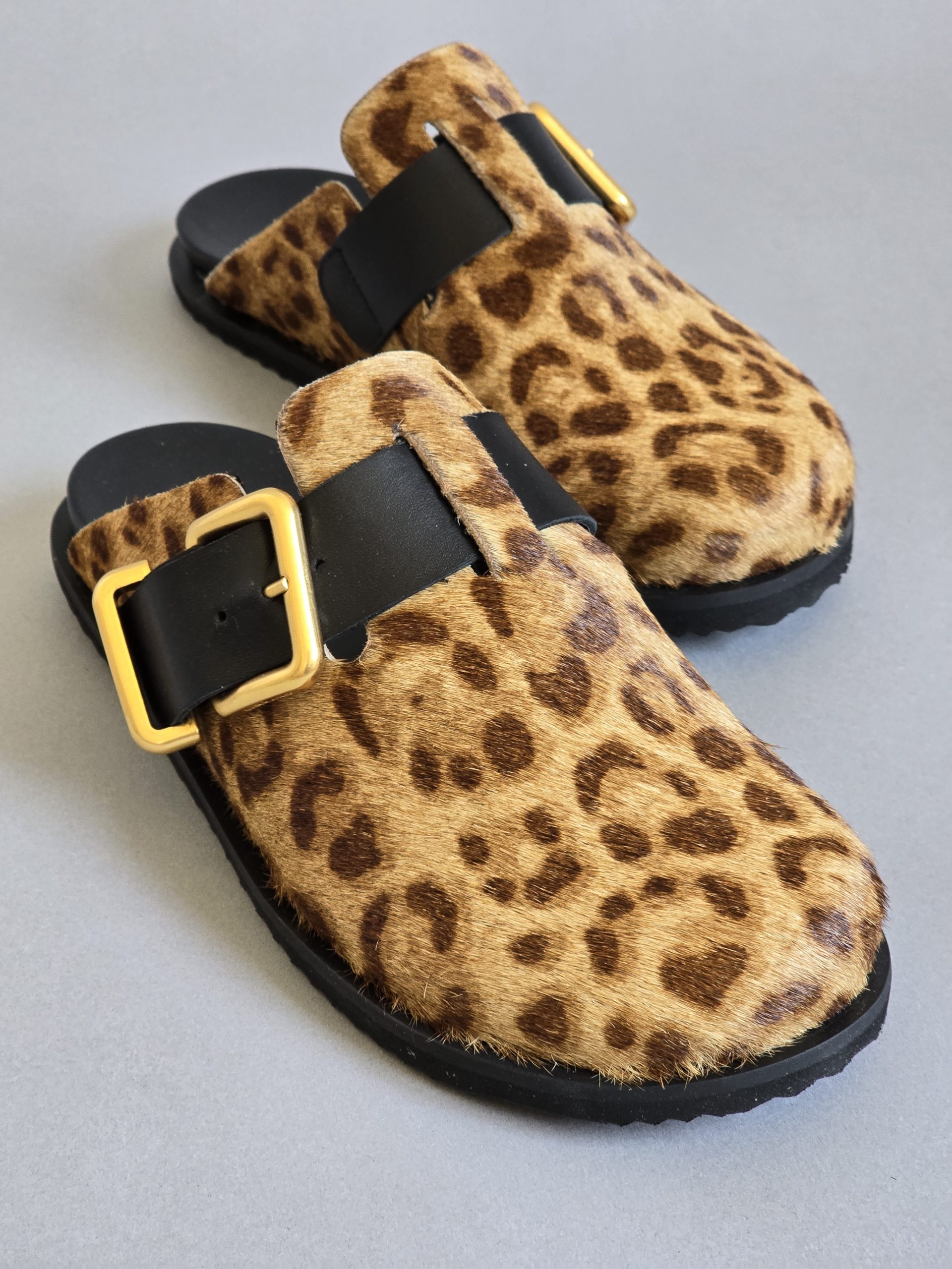 Shivani Leopard