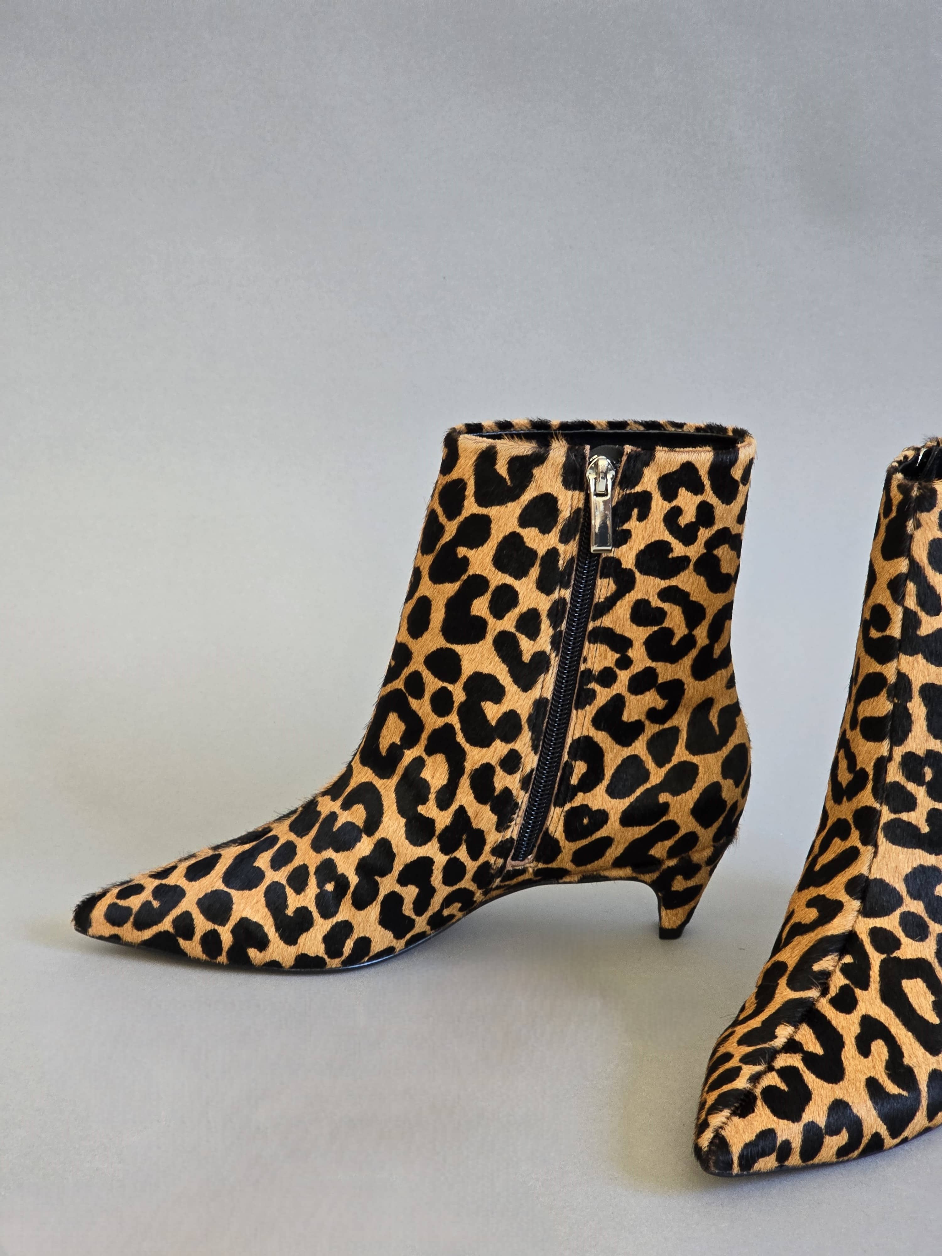 Clara Leopard