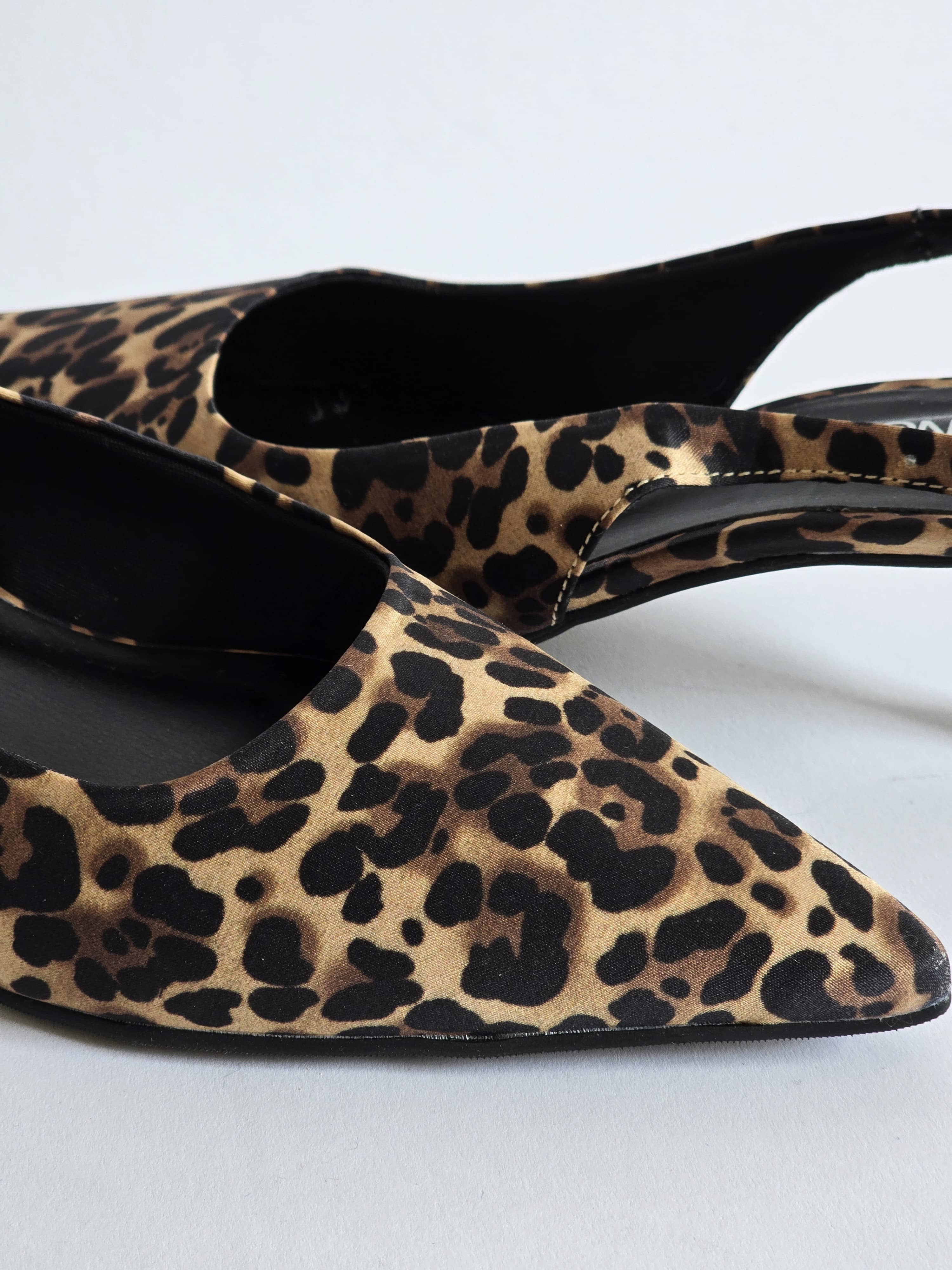 Millie Leopard