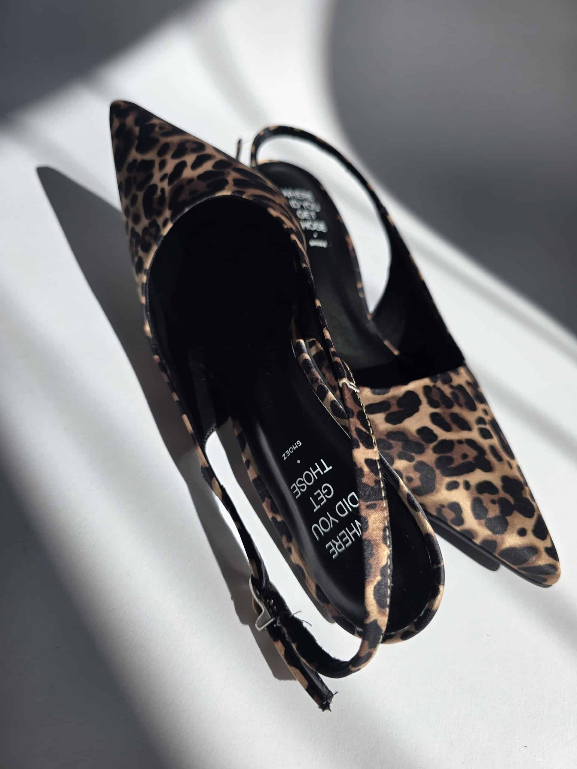 Millie Leopard