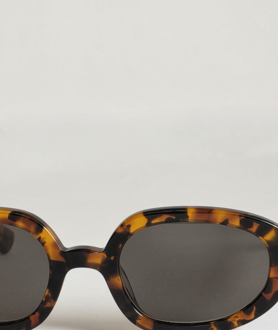 Solarte Cheetah Tortoise