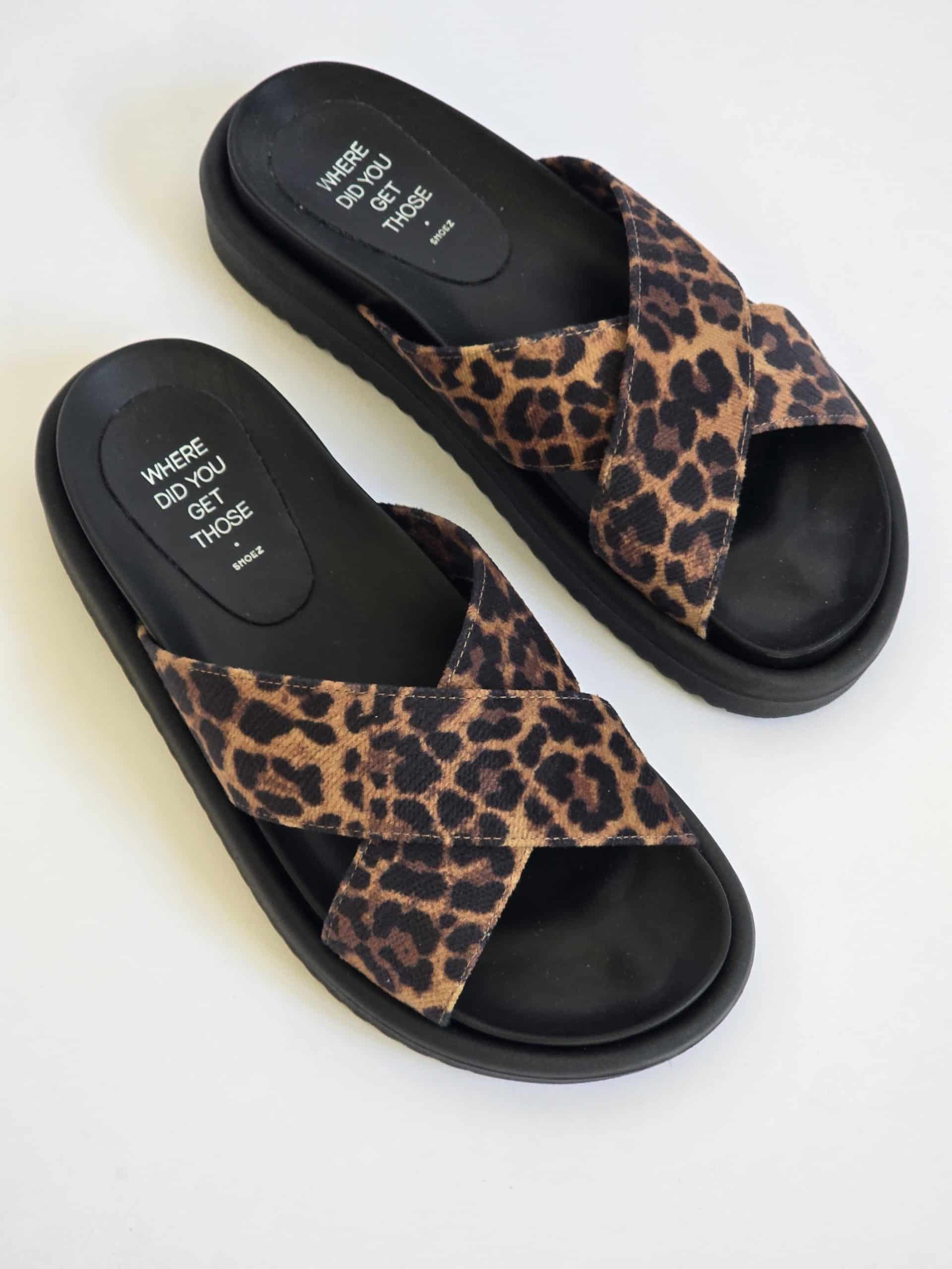 Audrey Leopard