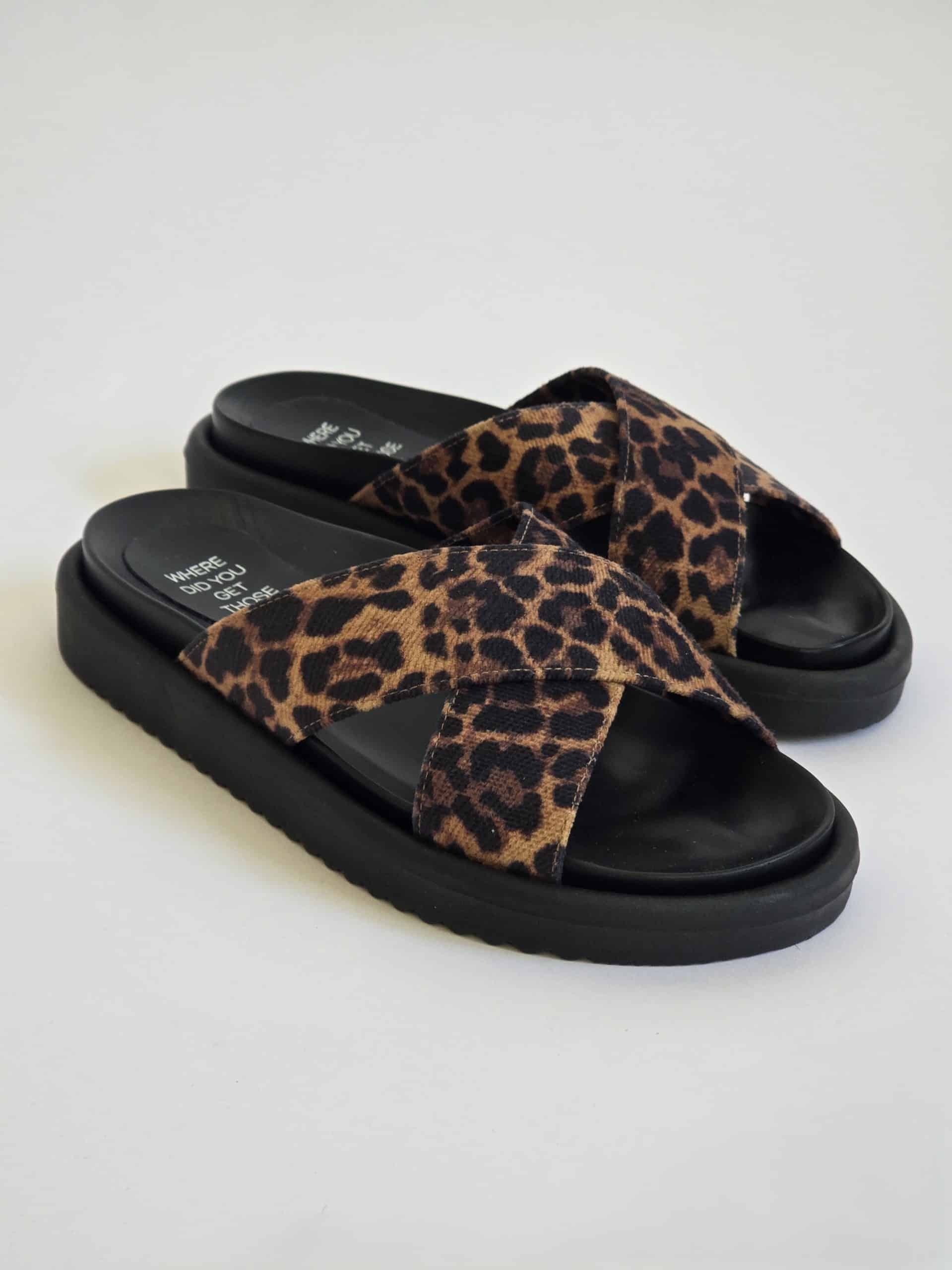 Audrey Leopard