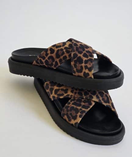 Audrey Leopard