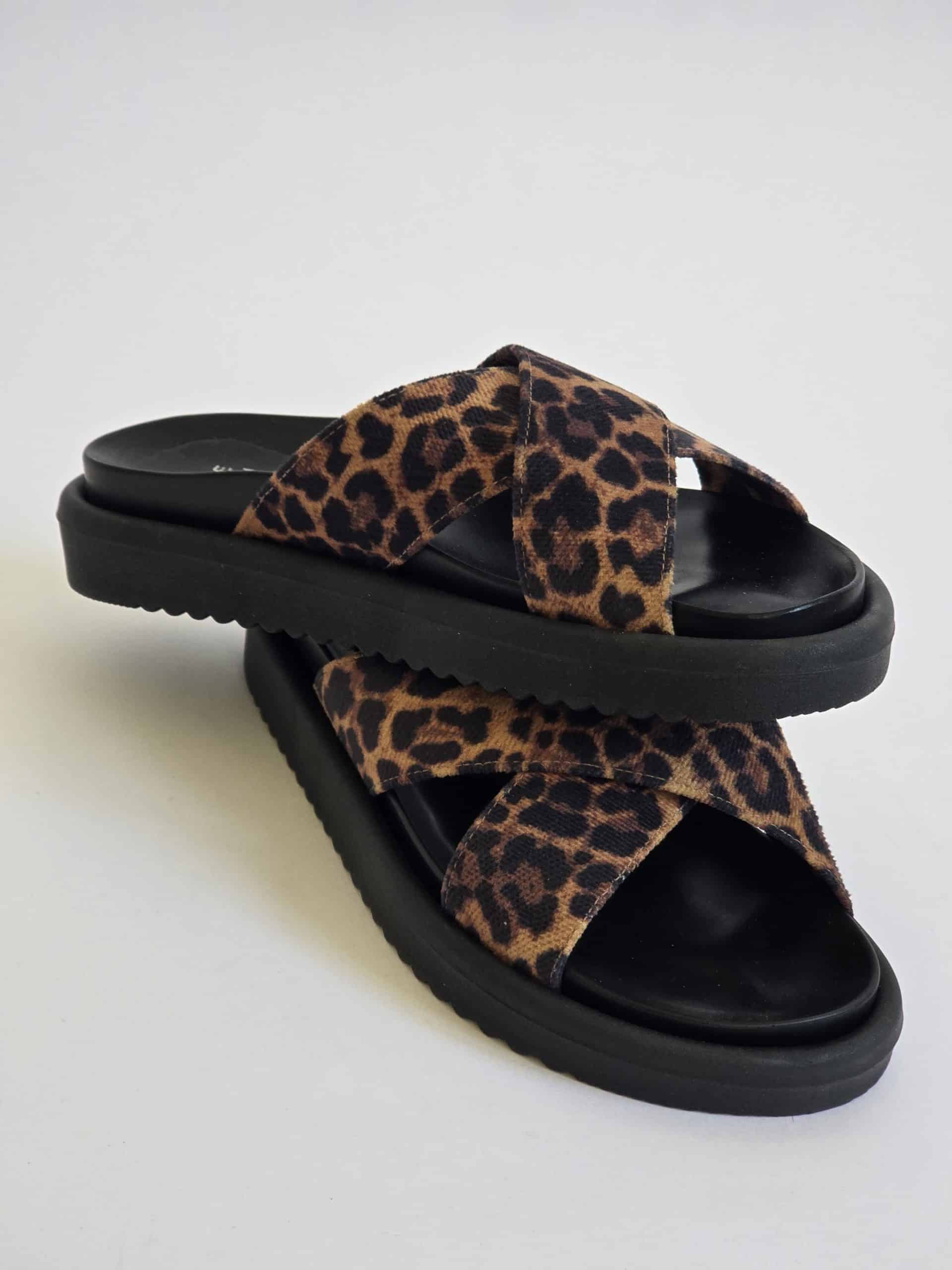 Audrey Leopard