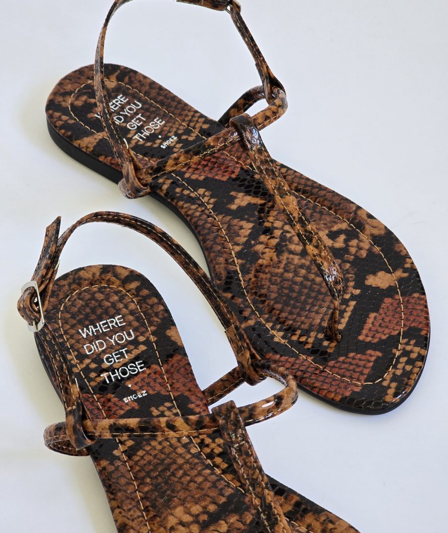 Alma Brown Snake