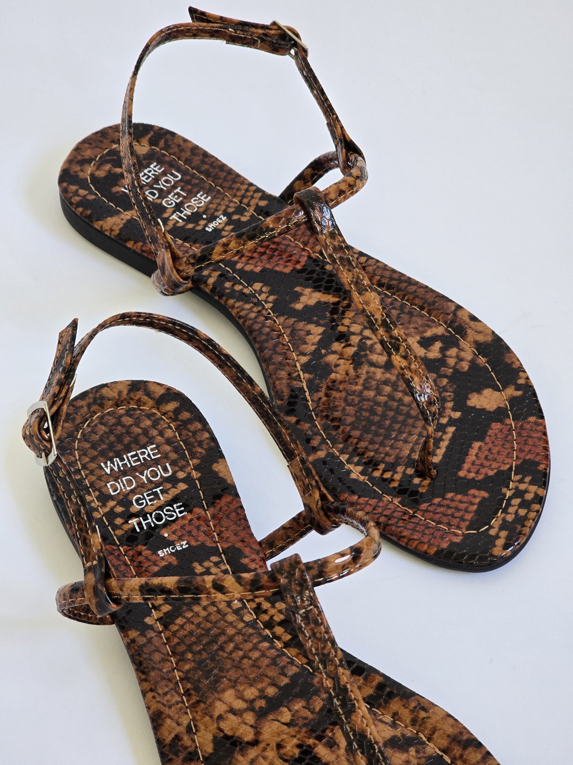 Alma Brown Snake