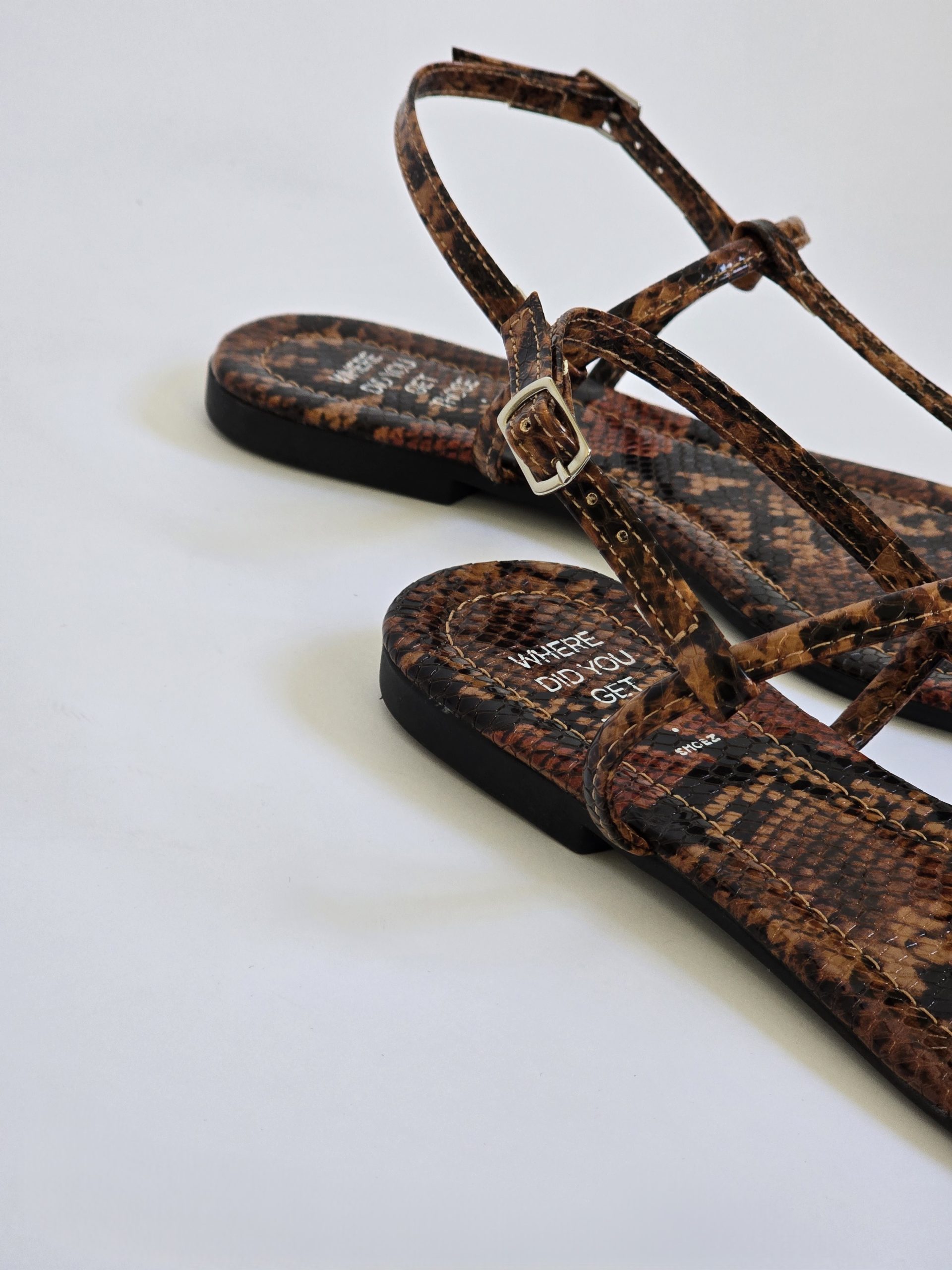 Alma Brown Snake