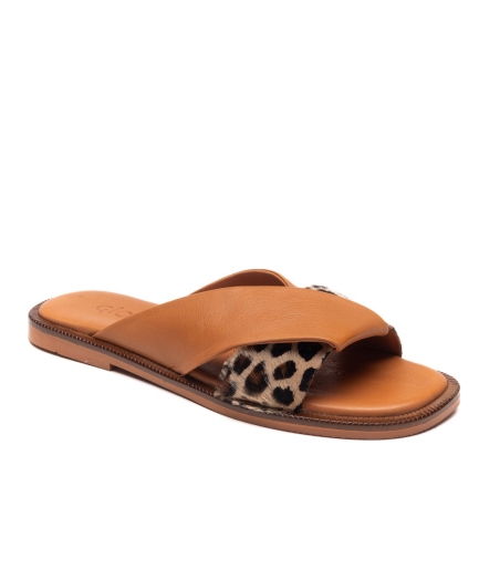 Tigra Brown LP