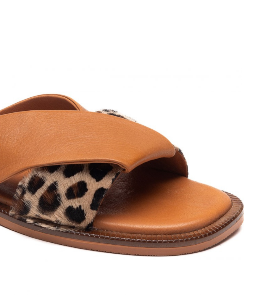 Tigra Brown LP