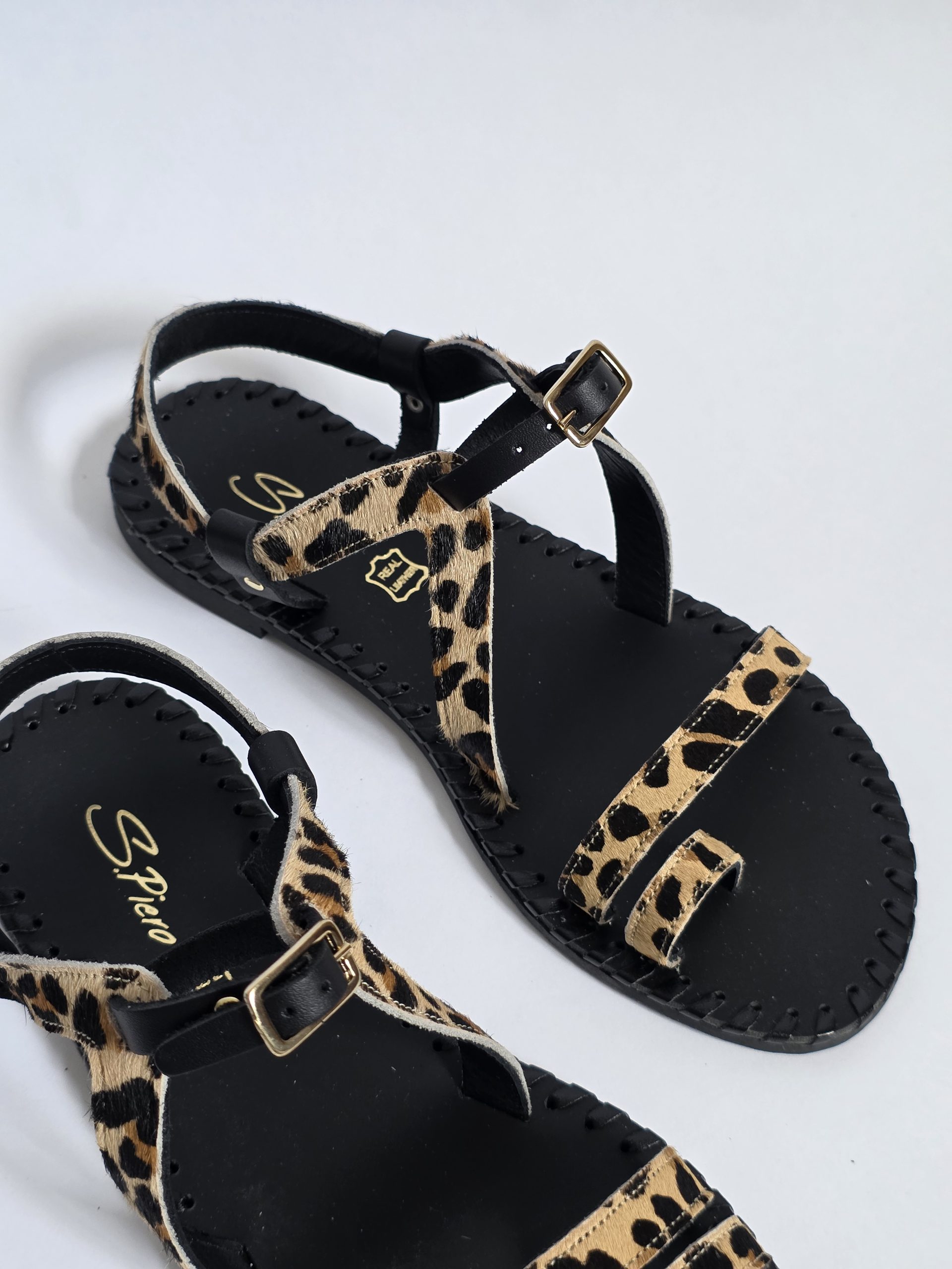Kayo Leopard