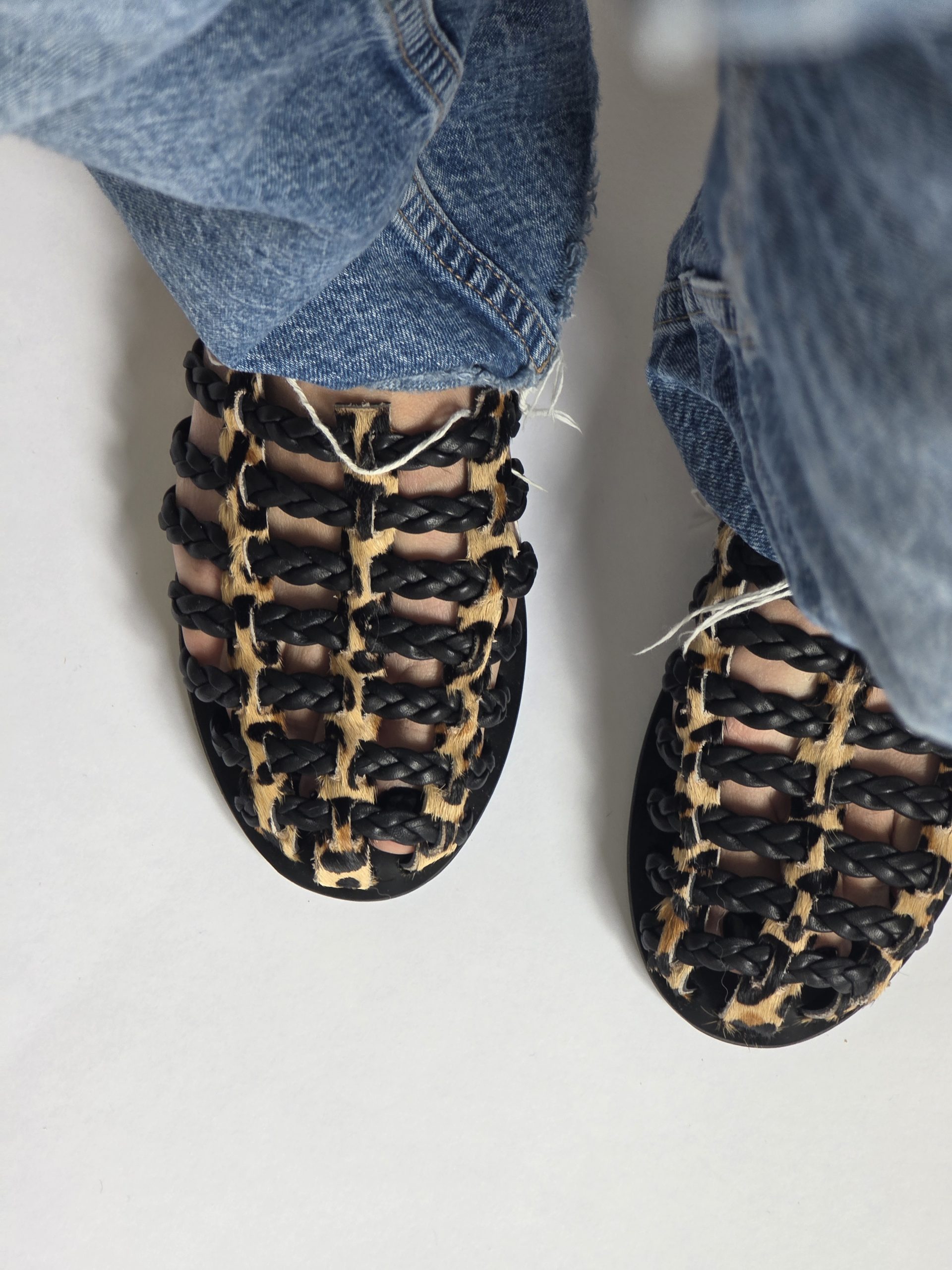 Odessa Leopard