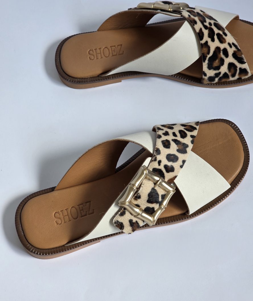 Nova Leopard