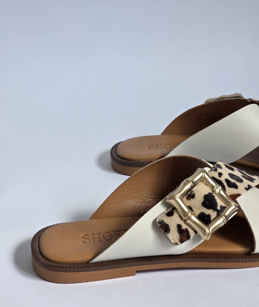 Nova Leopard