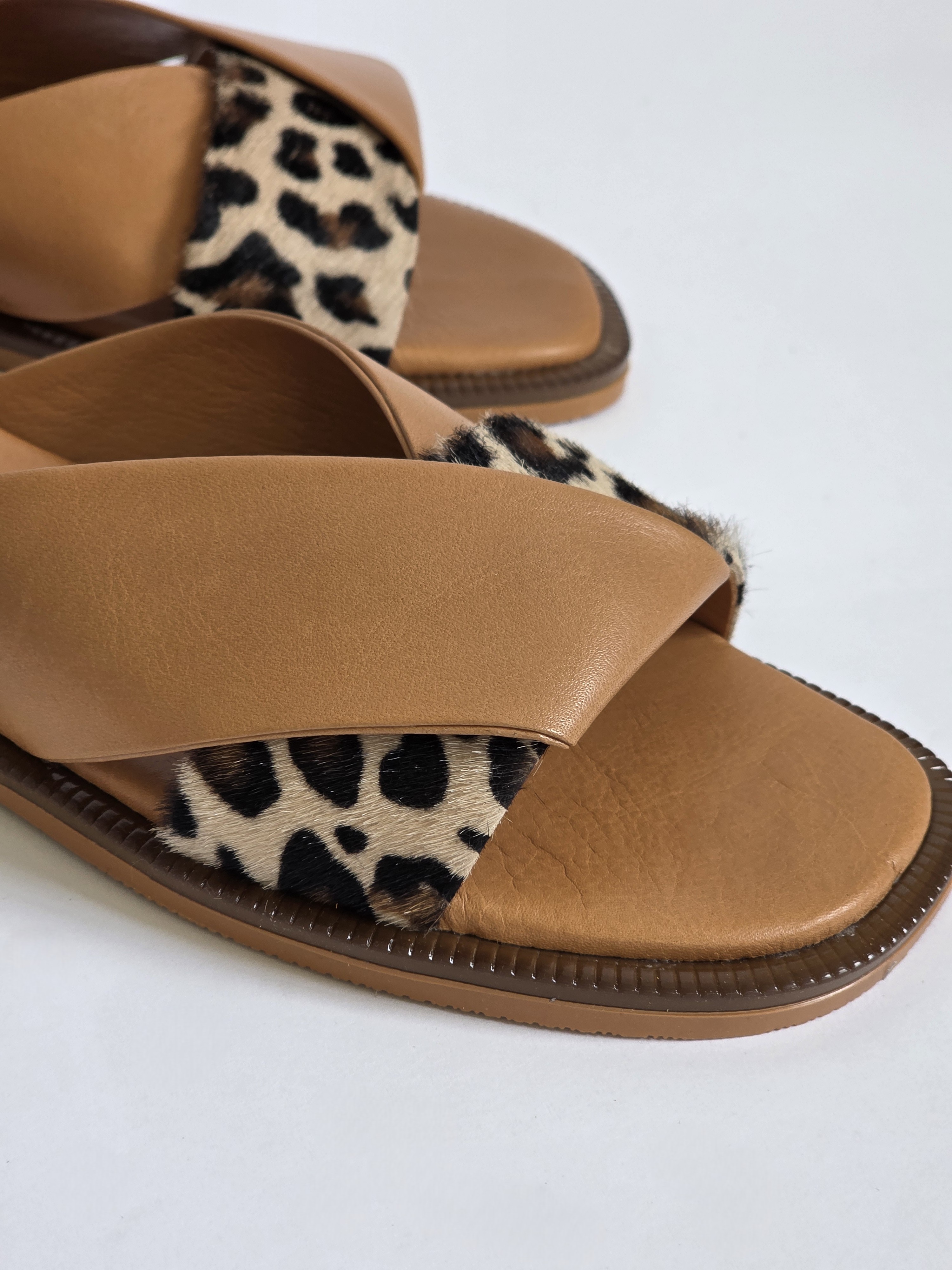 Tigra Brown LP