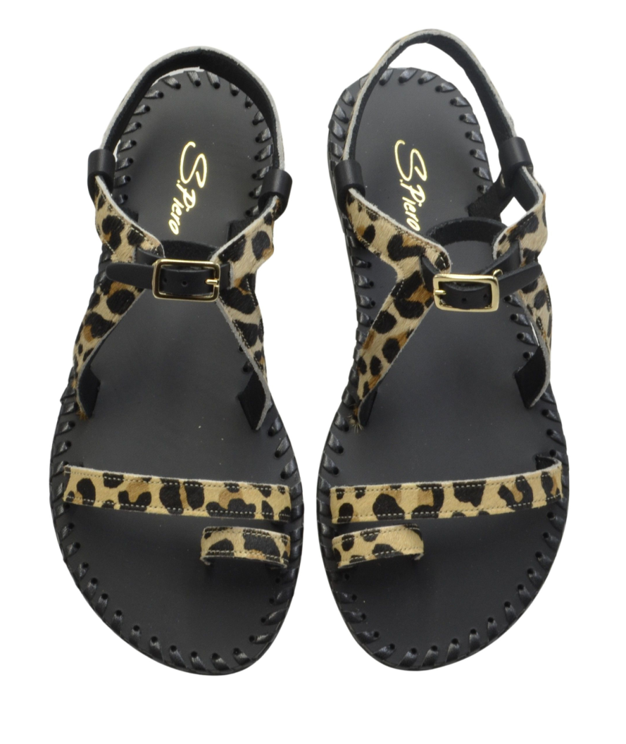 Kayo Leopard
