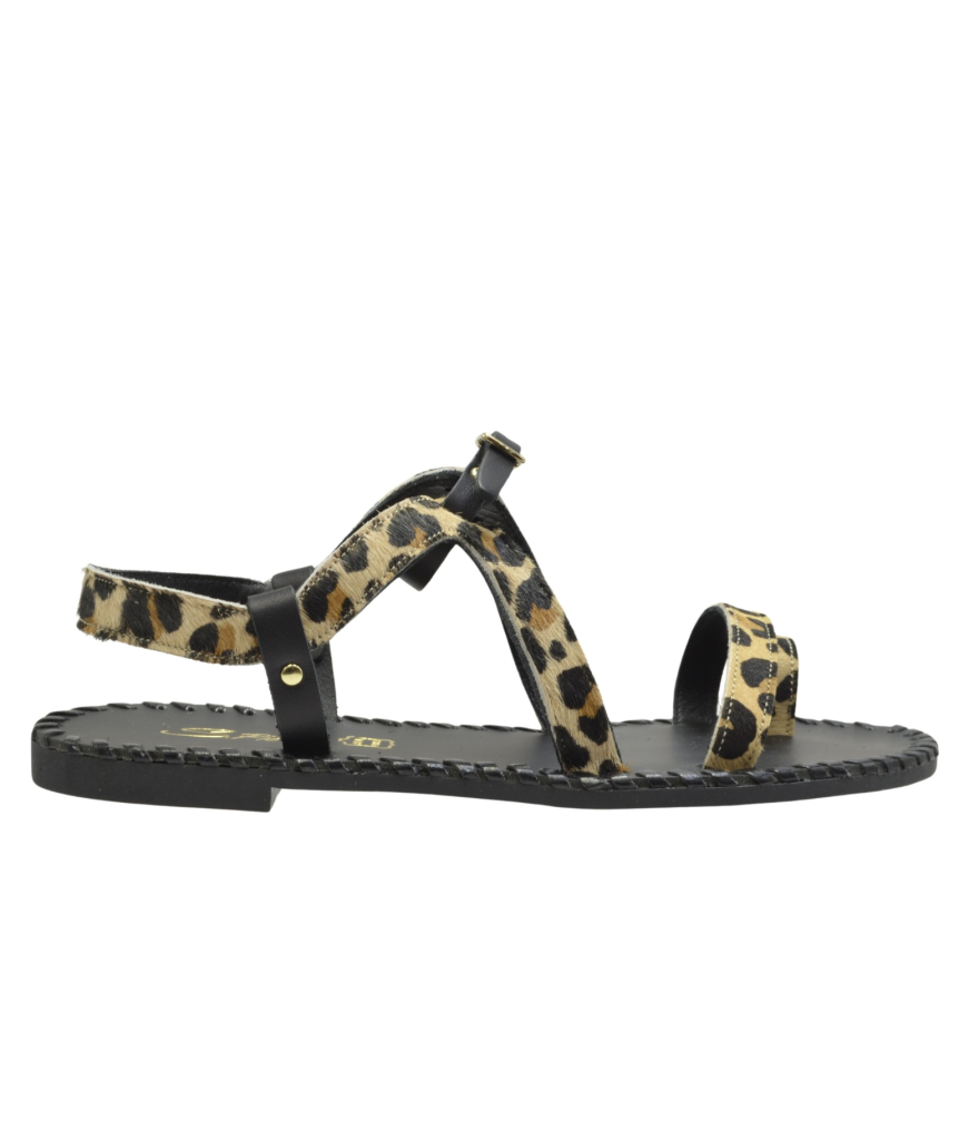 Kayo Leopard
