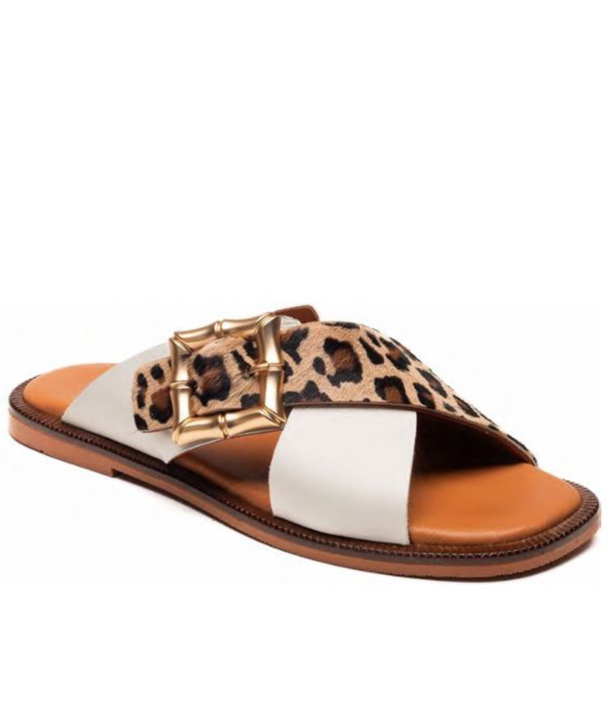 Nova Leopard