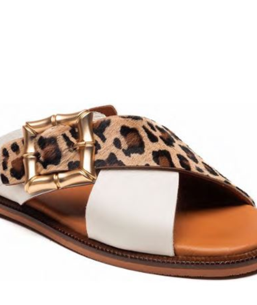 Nova Leopard