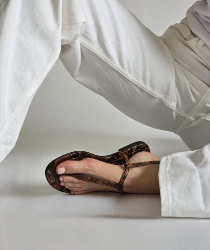Alma Brown Snake