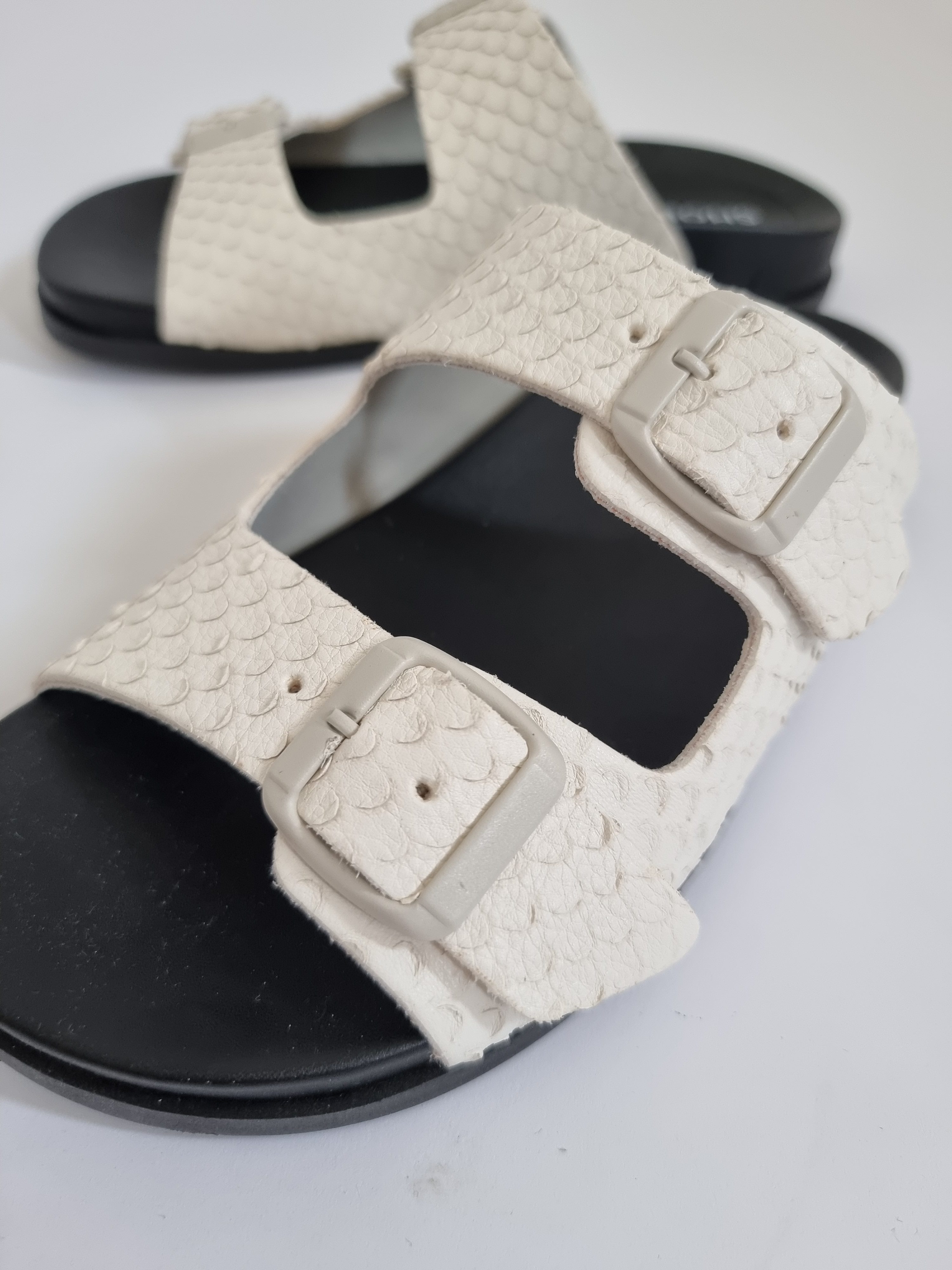 Dassy White