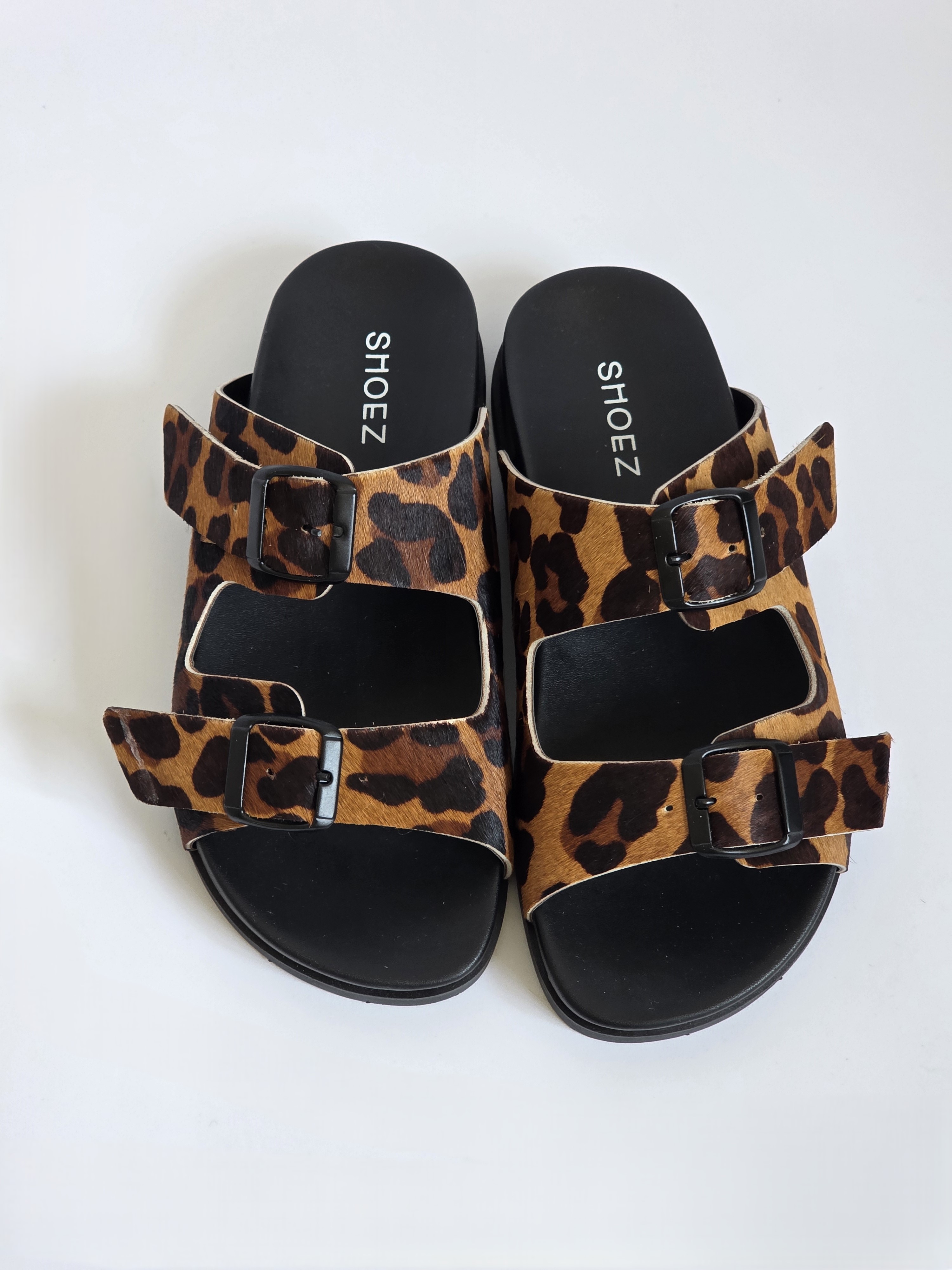Dassy Leopard
