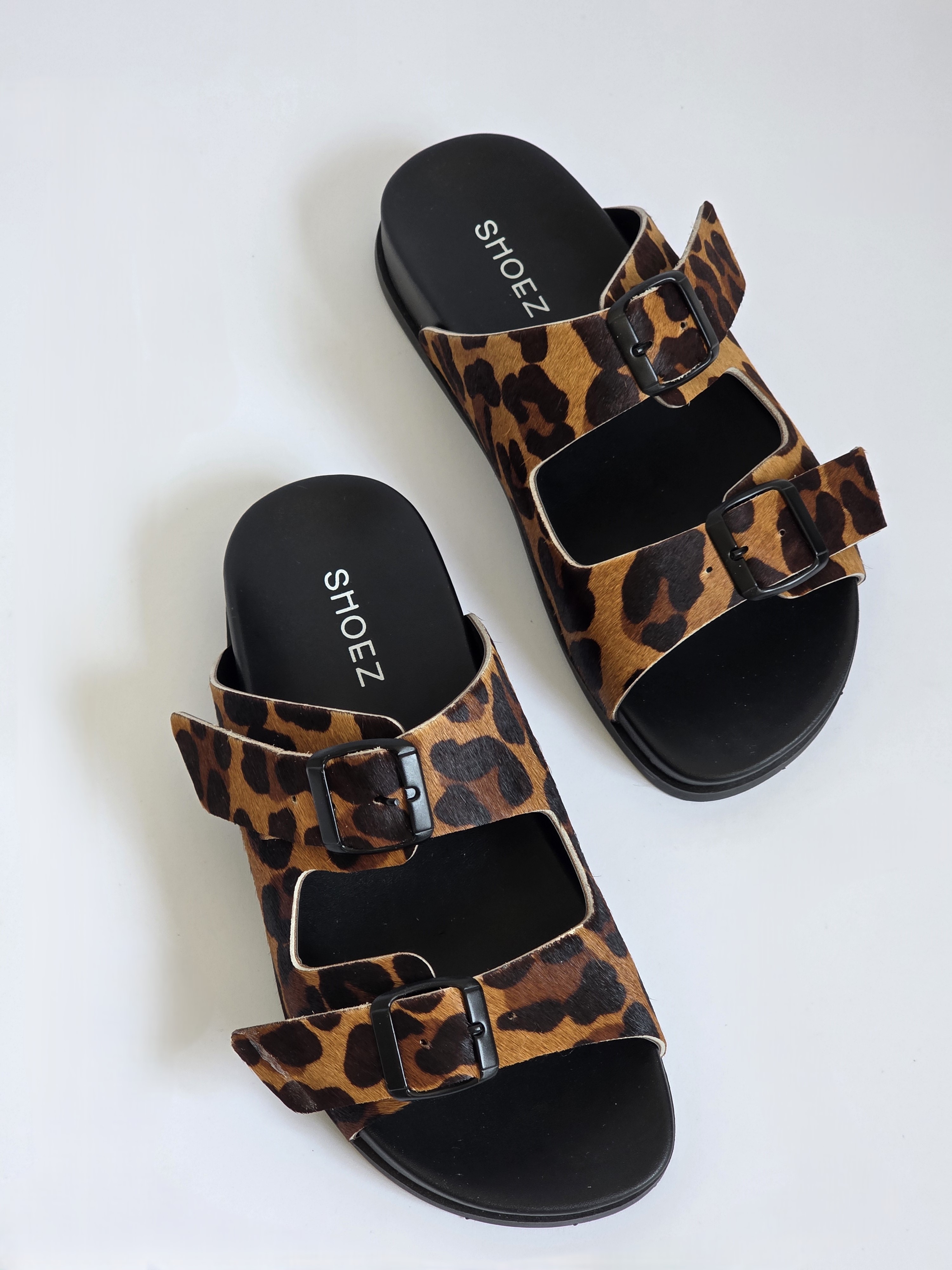 Dassy Leopard