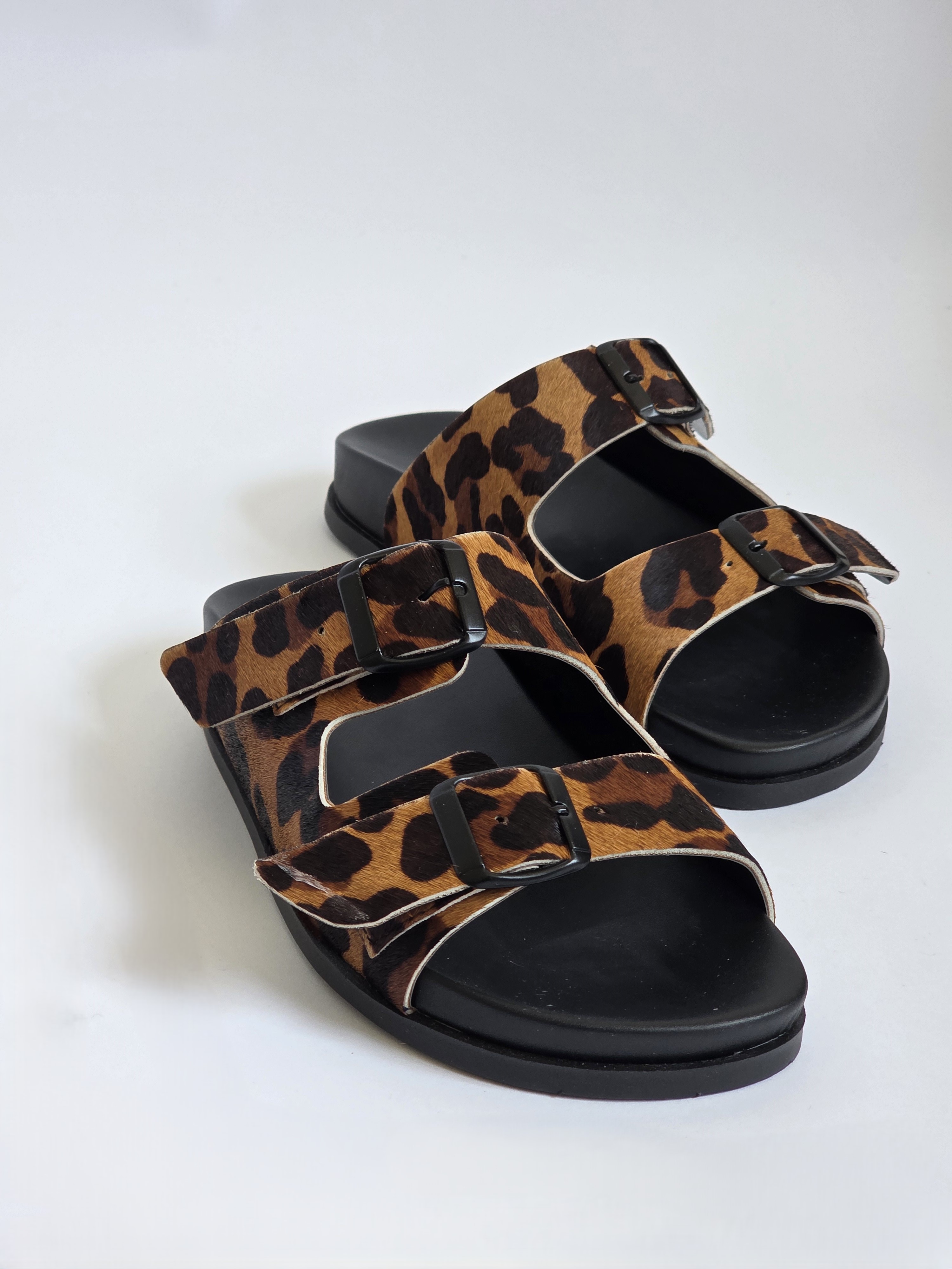 Dassy Leopard