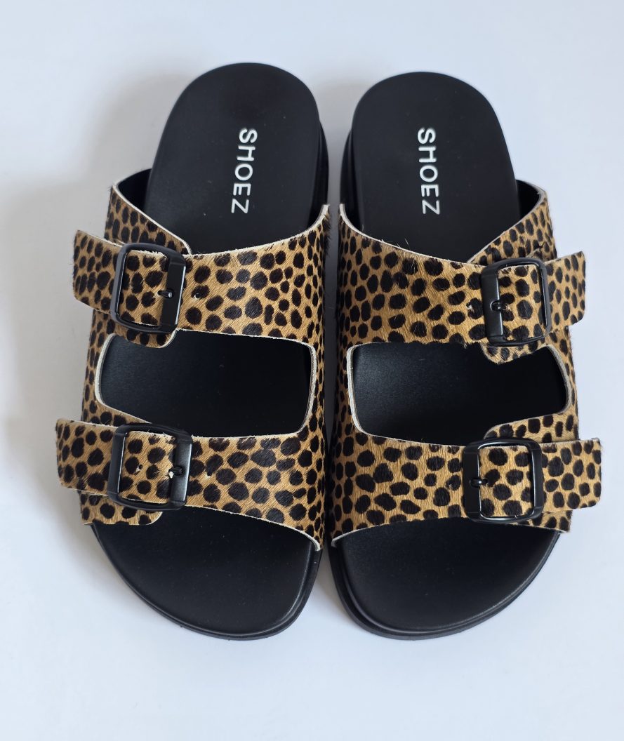 Dassy Cheetah