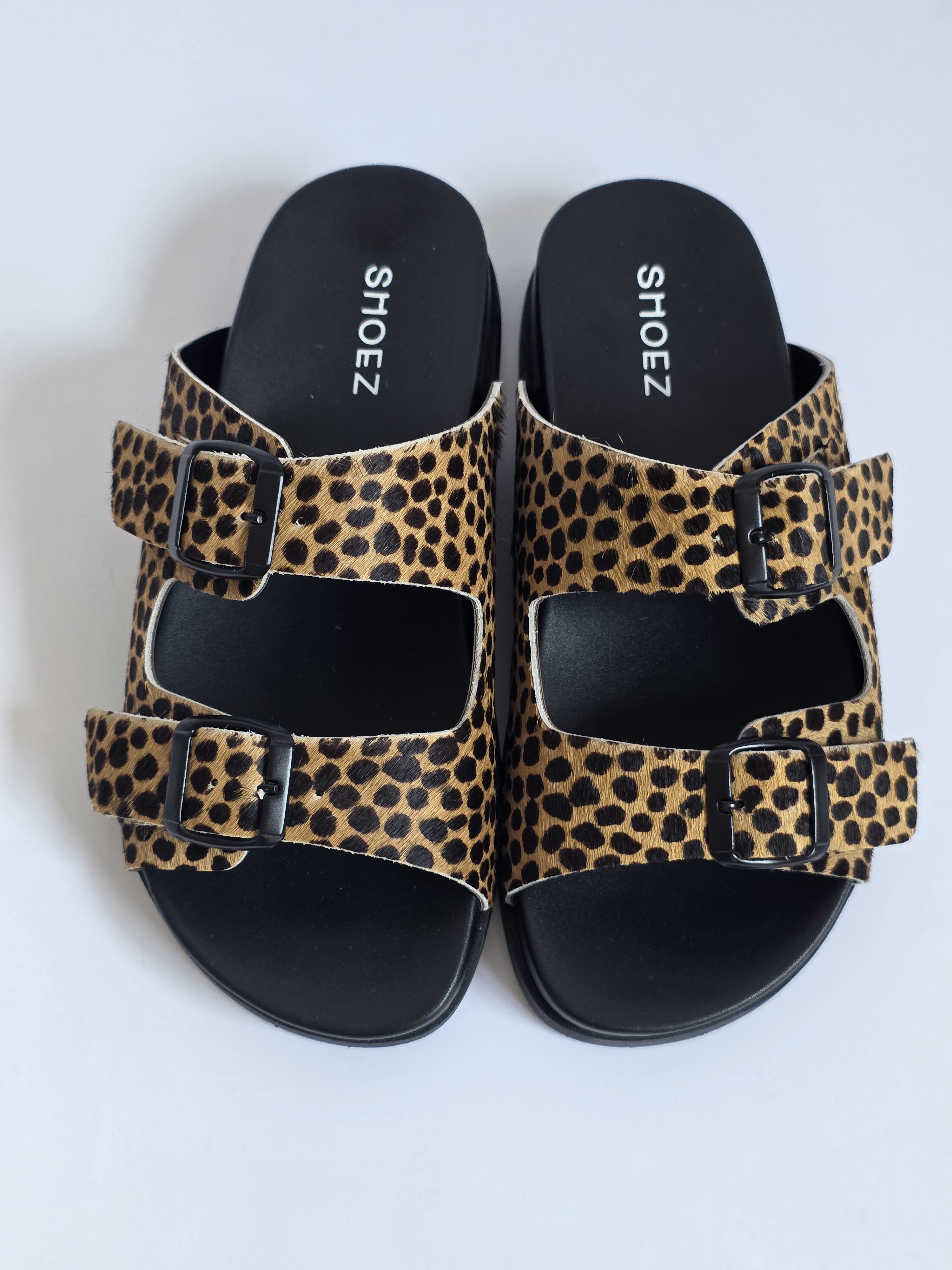 Dassy Cheetah