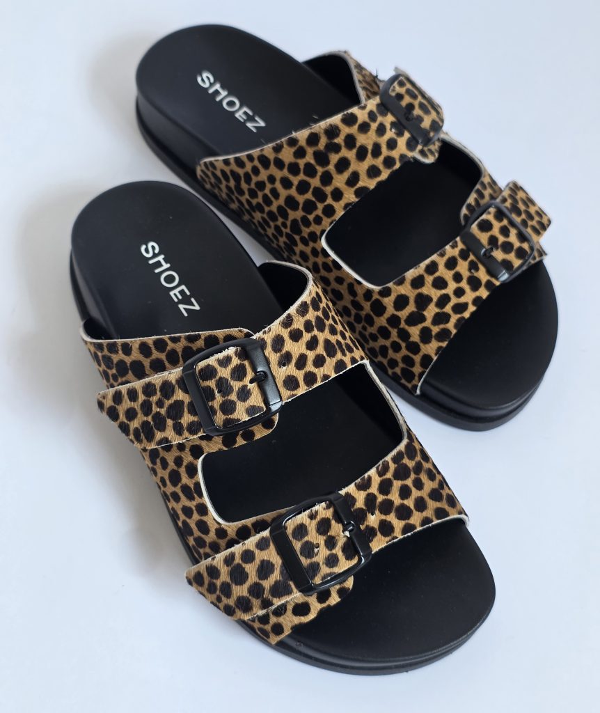 Dassy Cheetah