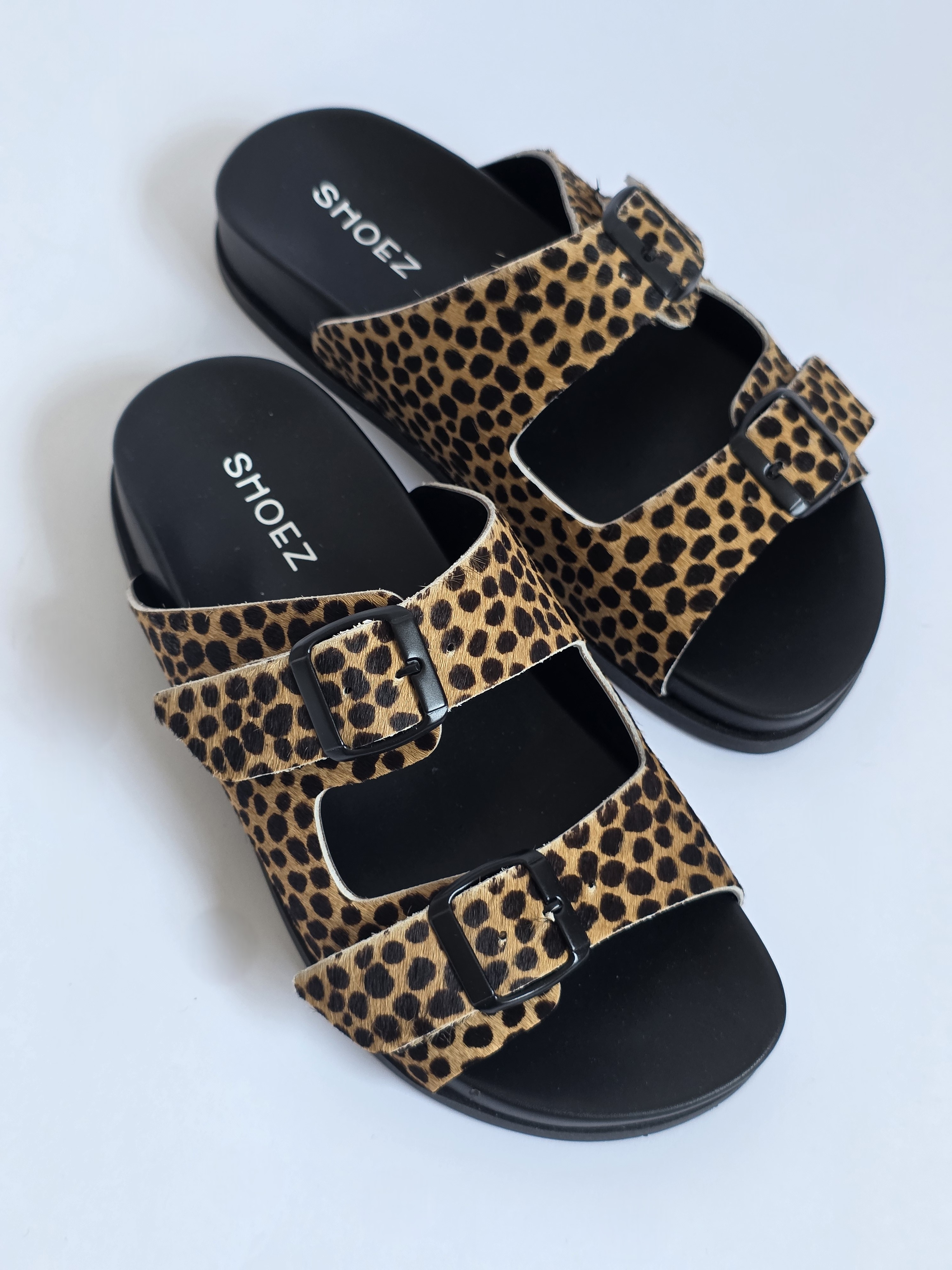 Dassy Cheetah