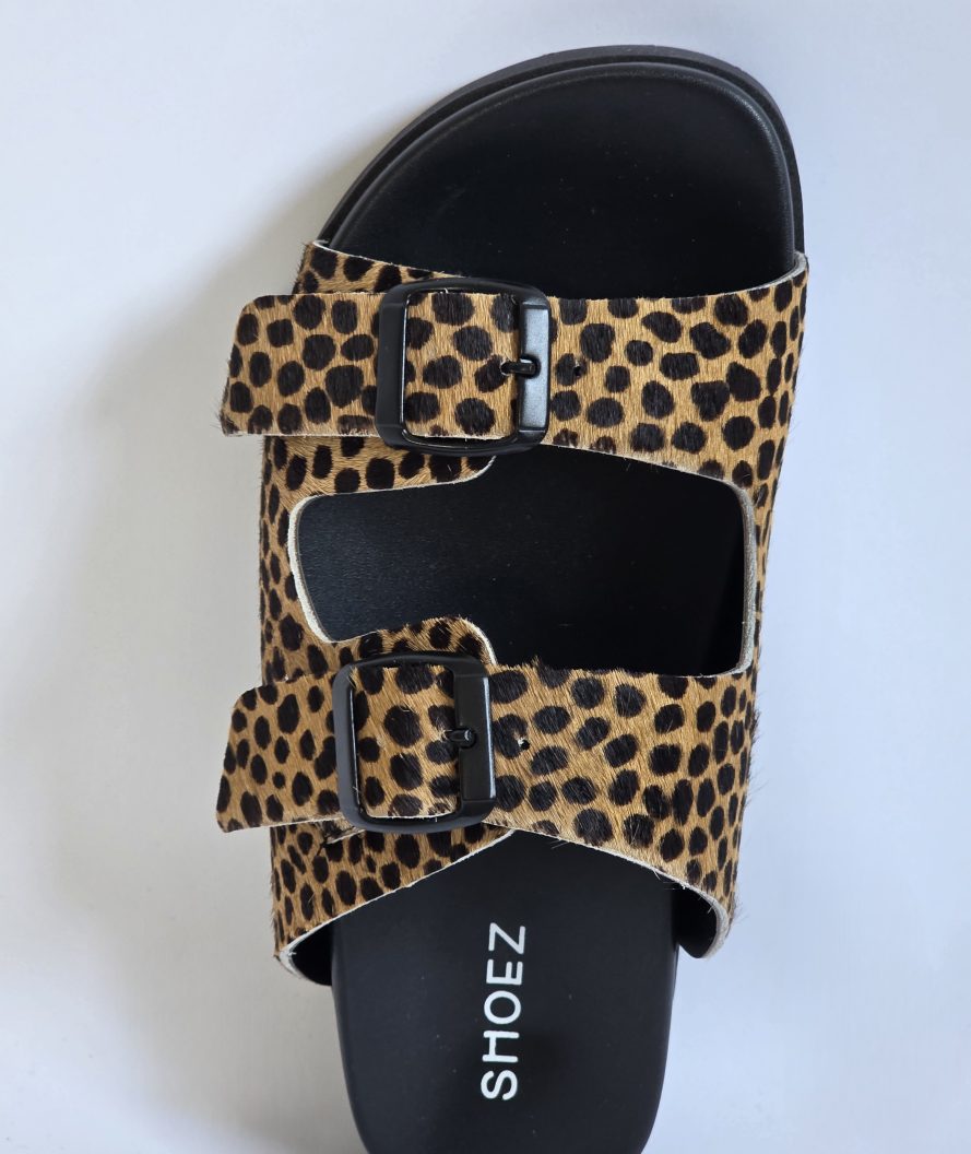 Dassy Cheetah