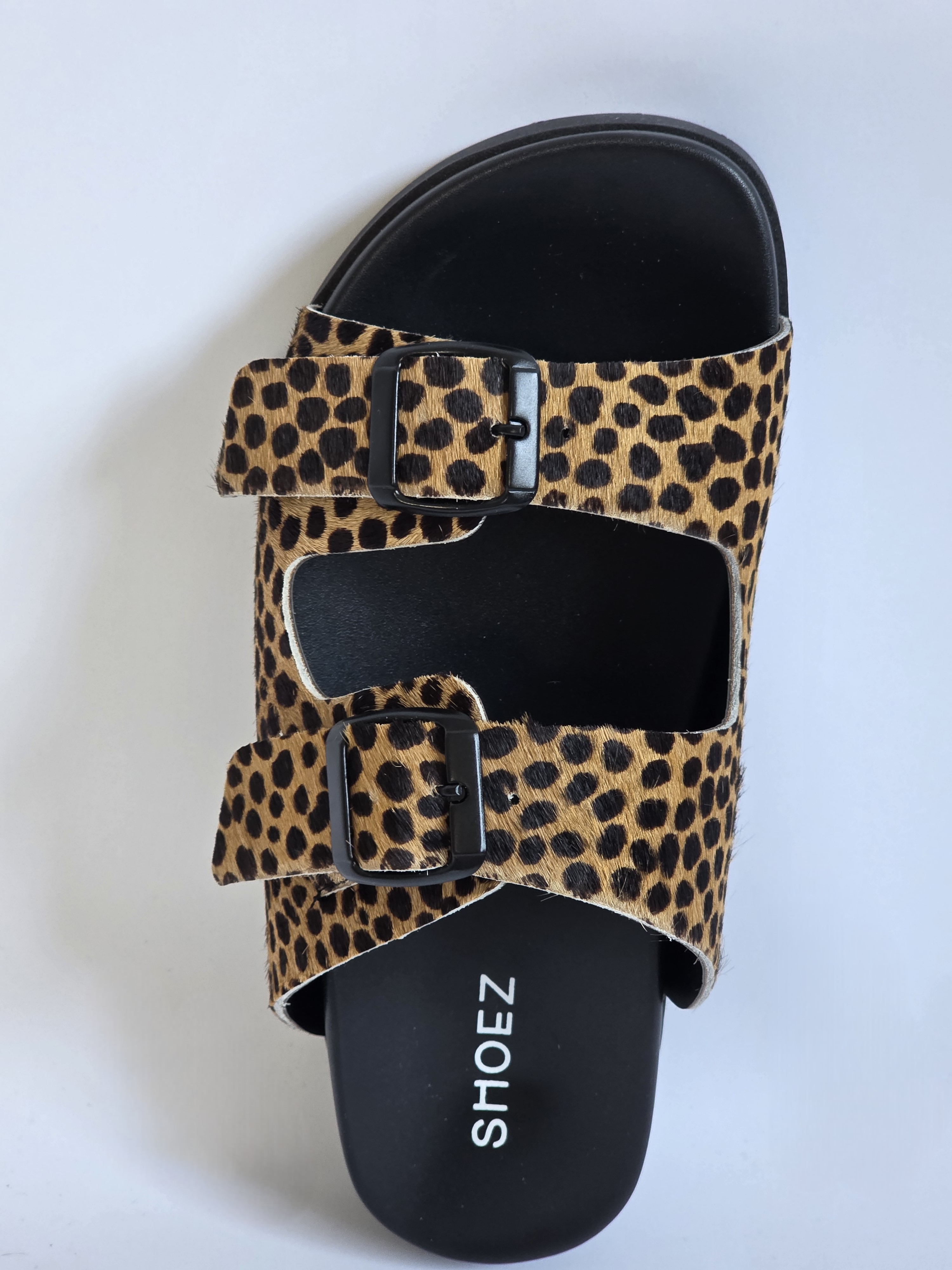 Dassy Cheetah
