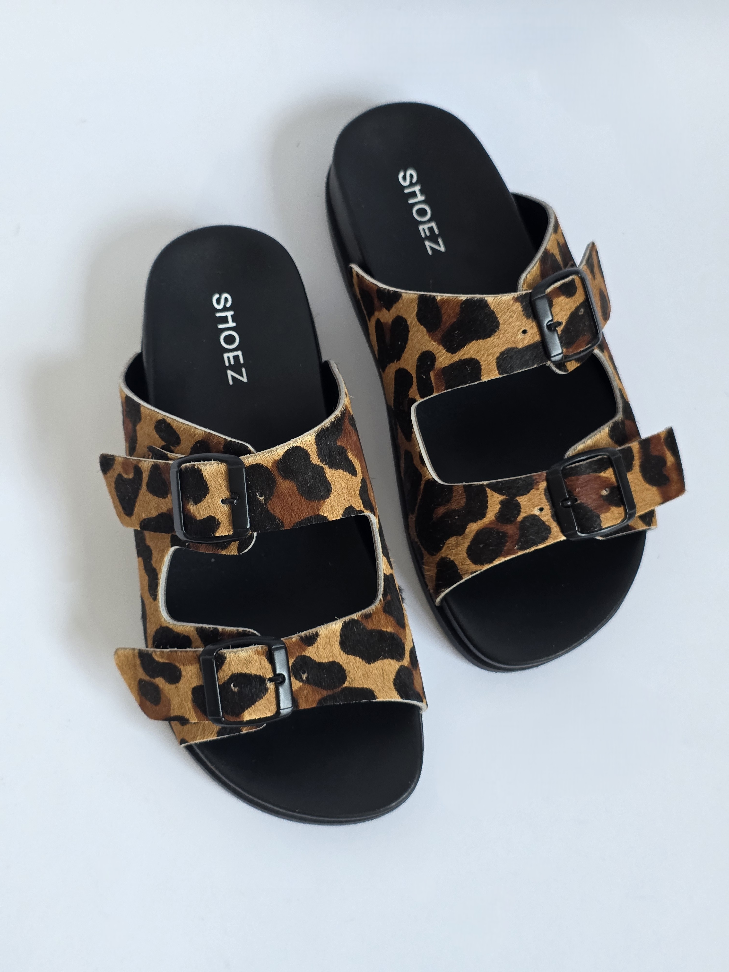 Dassy Leopard