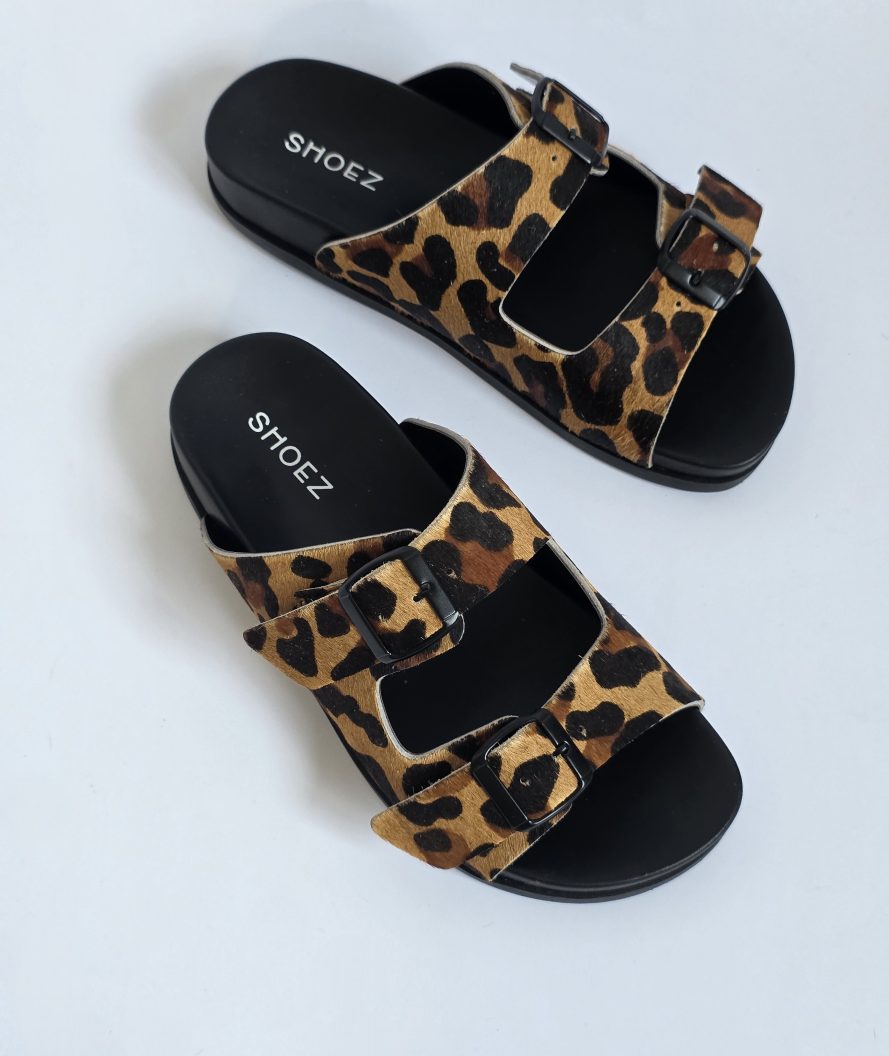 Dassy Leopard