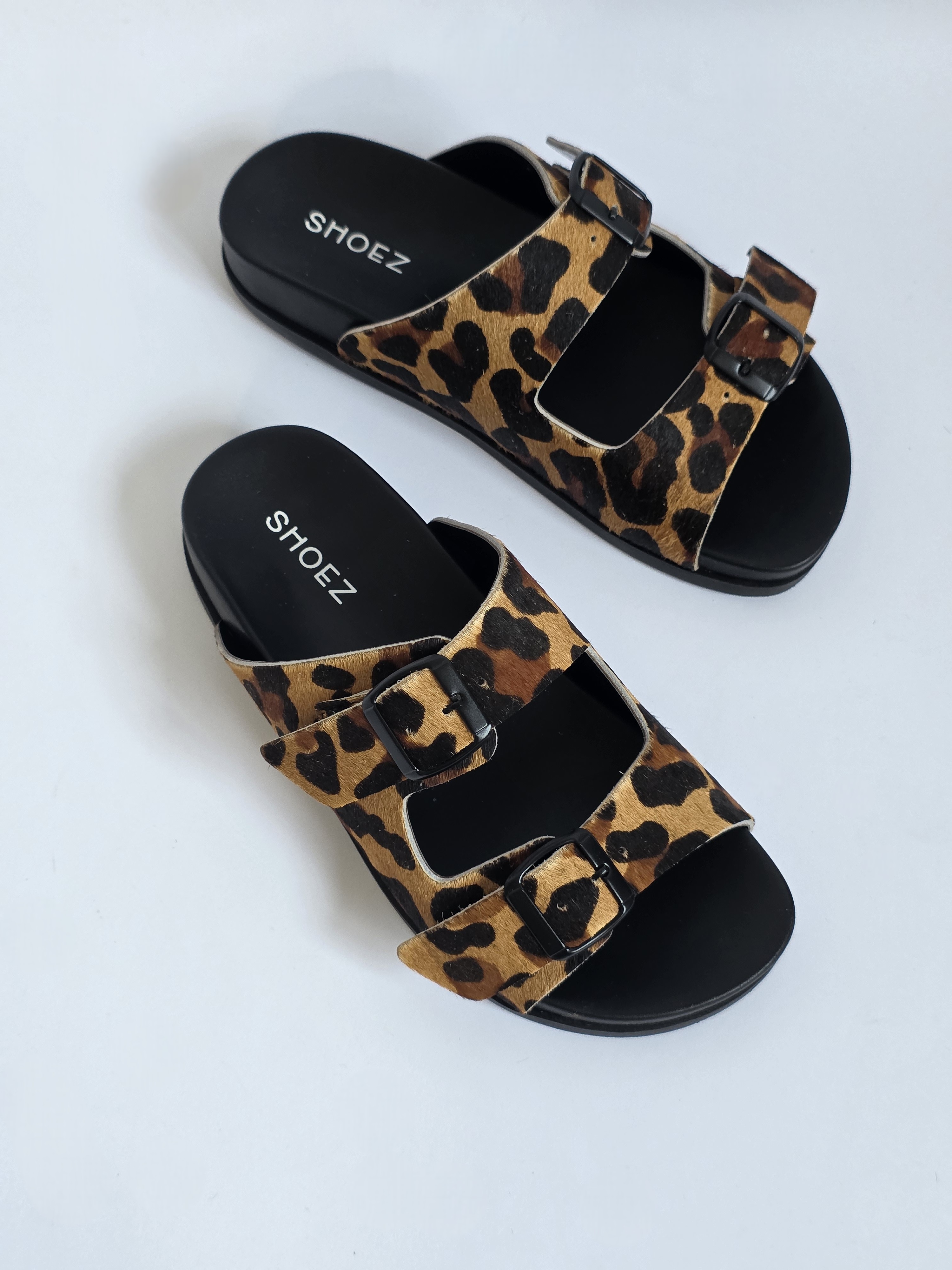 Dassy Leopard