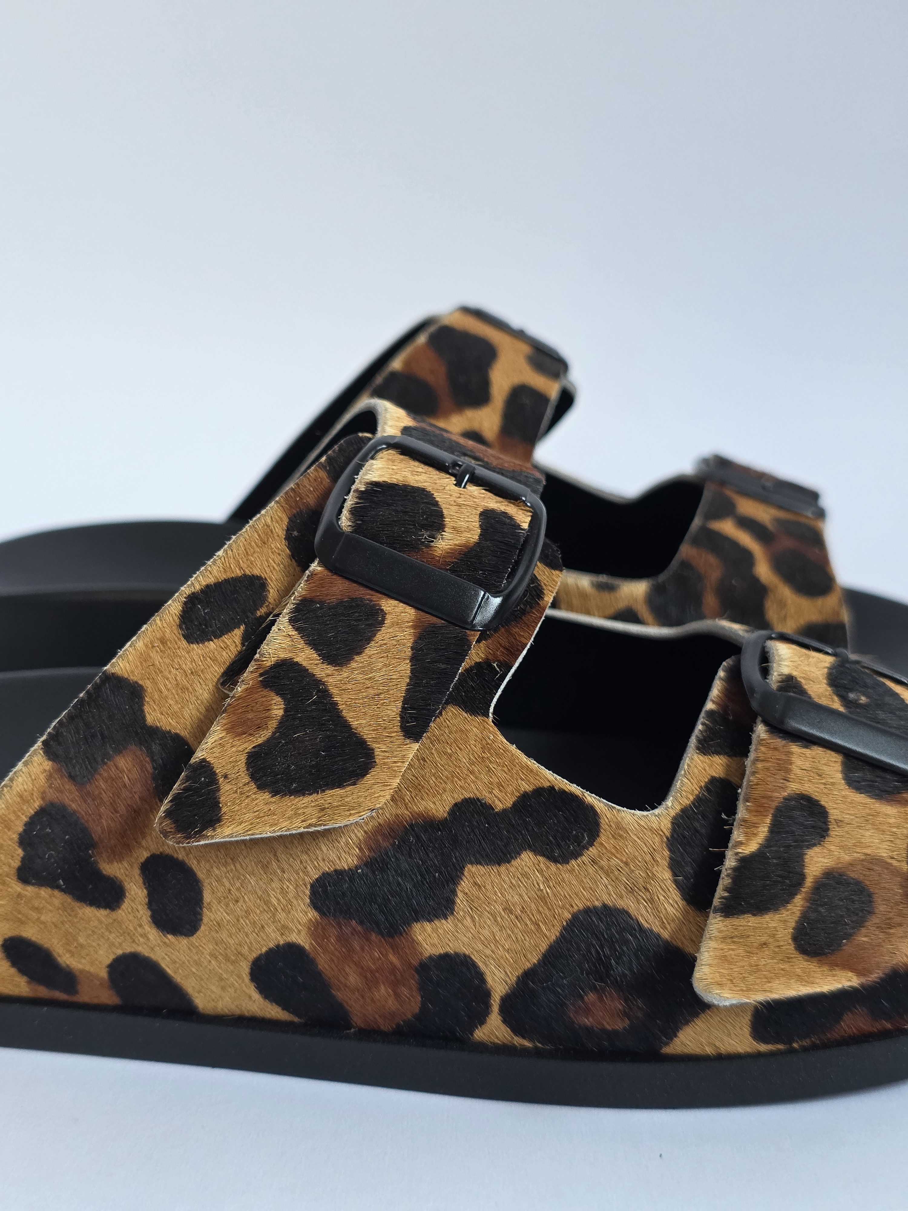 Dassy Leopard