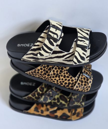 New Slides