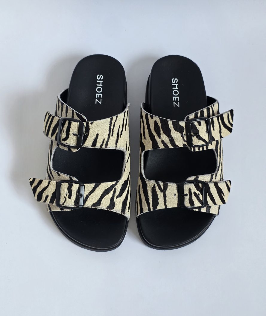 Dassy Zebra