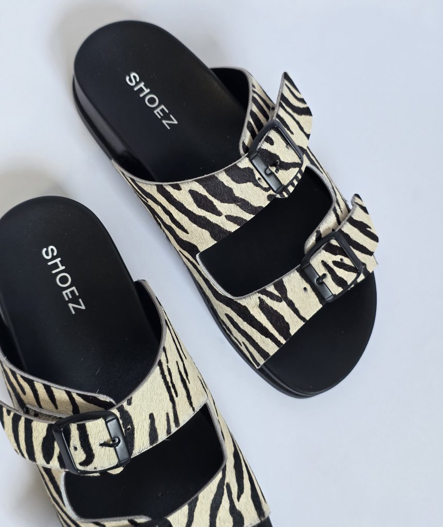 Dassy Zebra