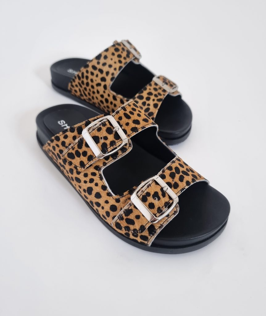 Dassy Cheetah
